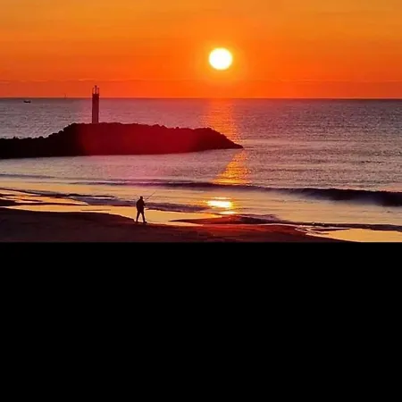 Petit Nid Douillet * 阿格德