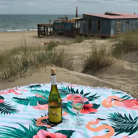 Lägenhet Petit Nid Douillet Agde